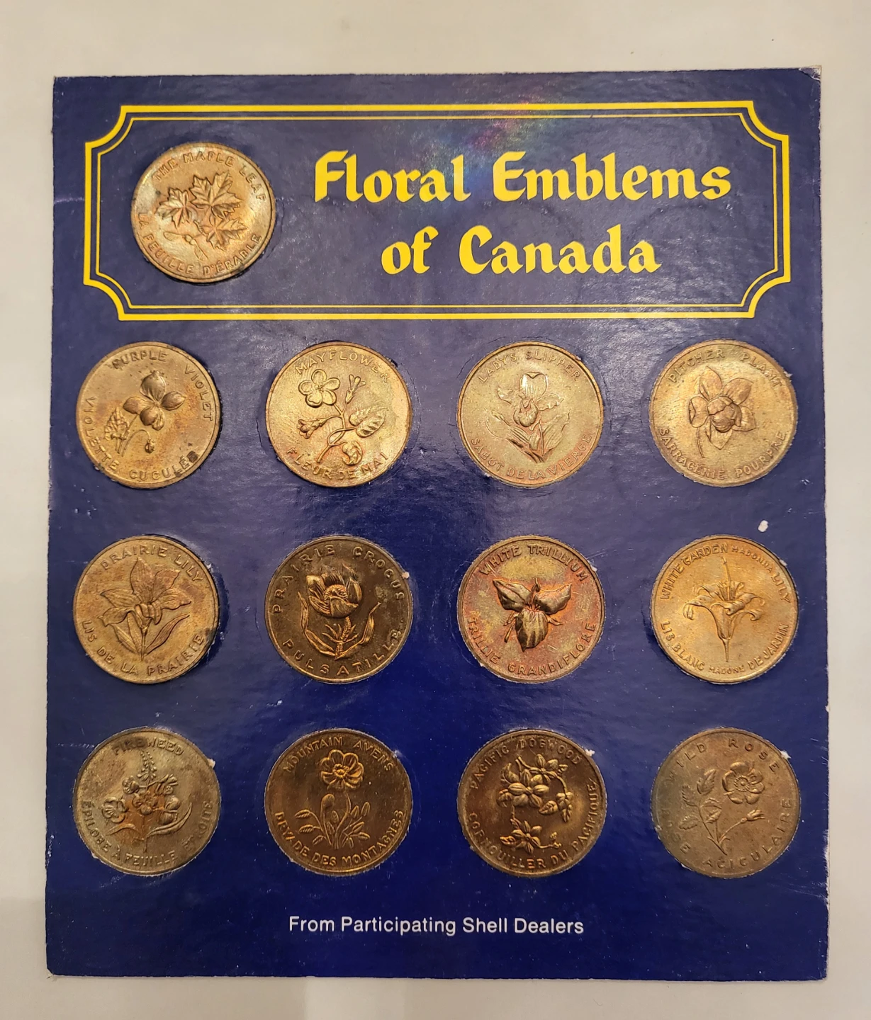 Vintage Shell Floral Emblems and Coats of Arms of Canada Medals - photo 2