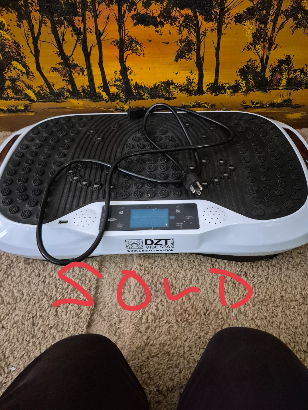 DZT Fitness Vibe Spa Whole Body Vibration Platform