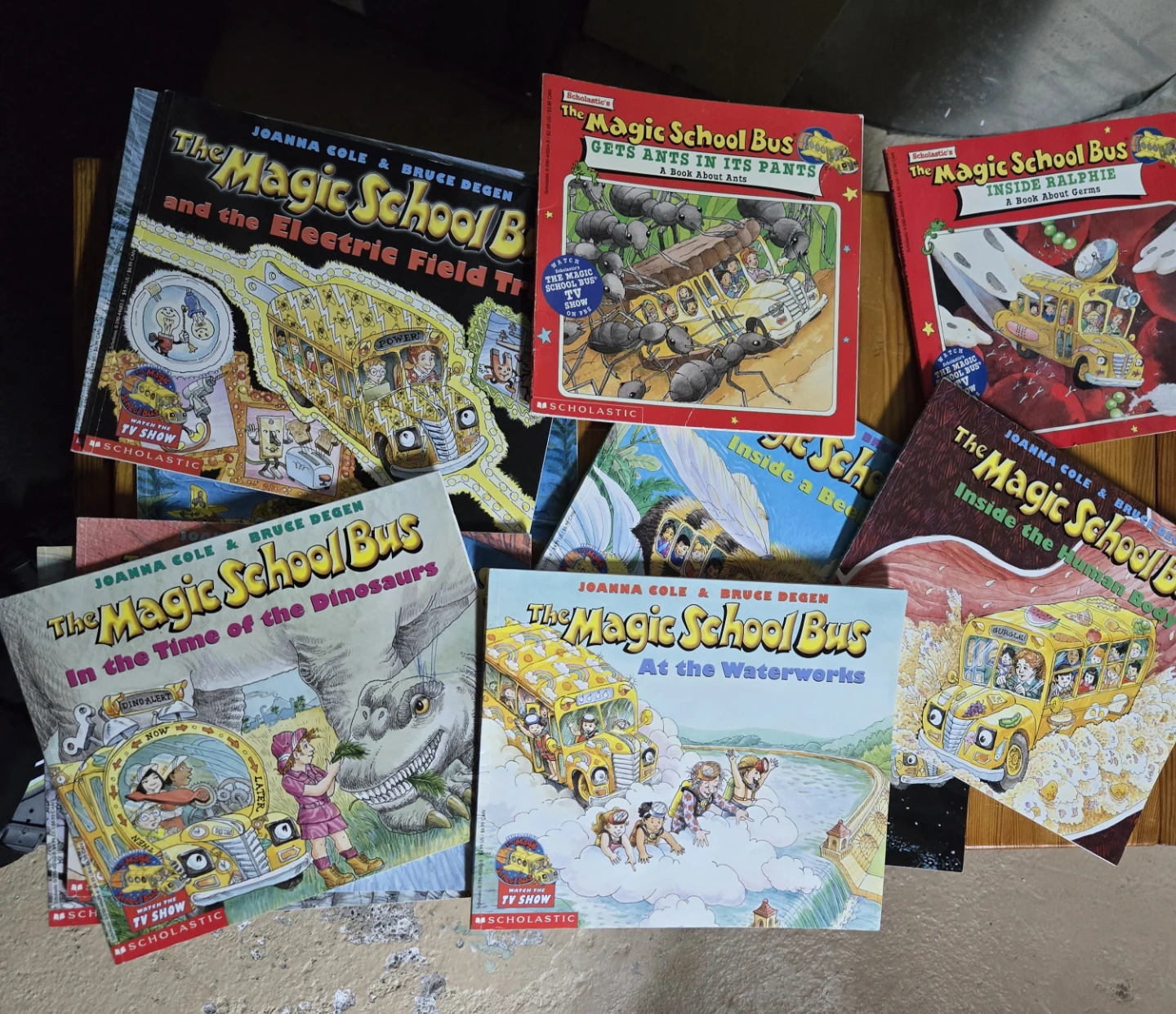 The Magic School Bus Books (Set of 5)
