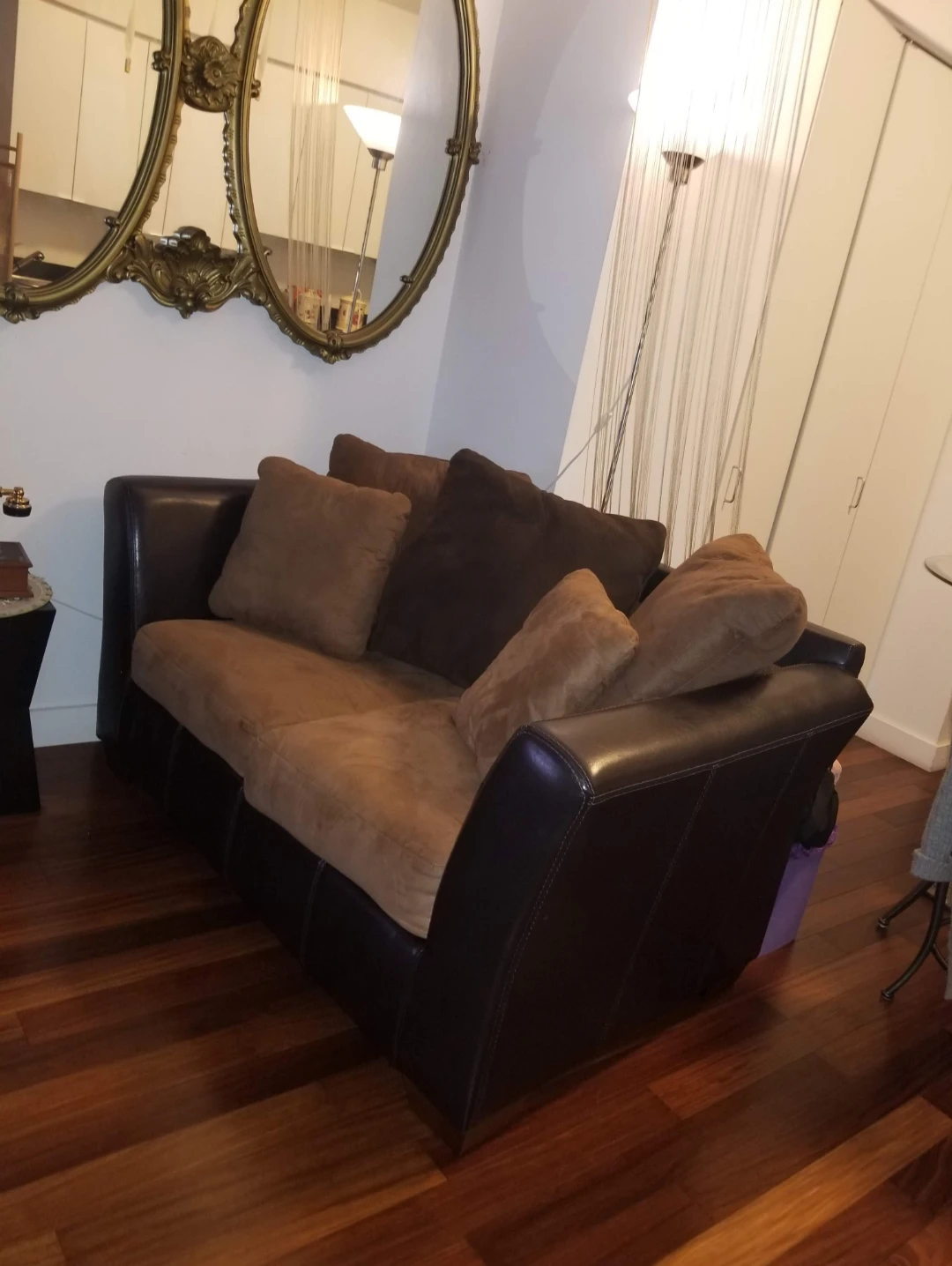 Brown Loveseat, Shag Rug
