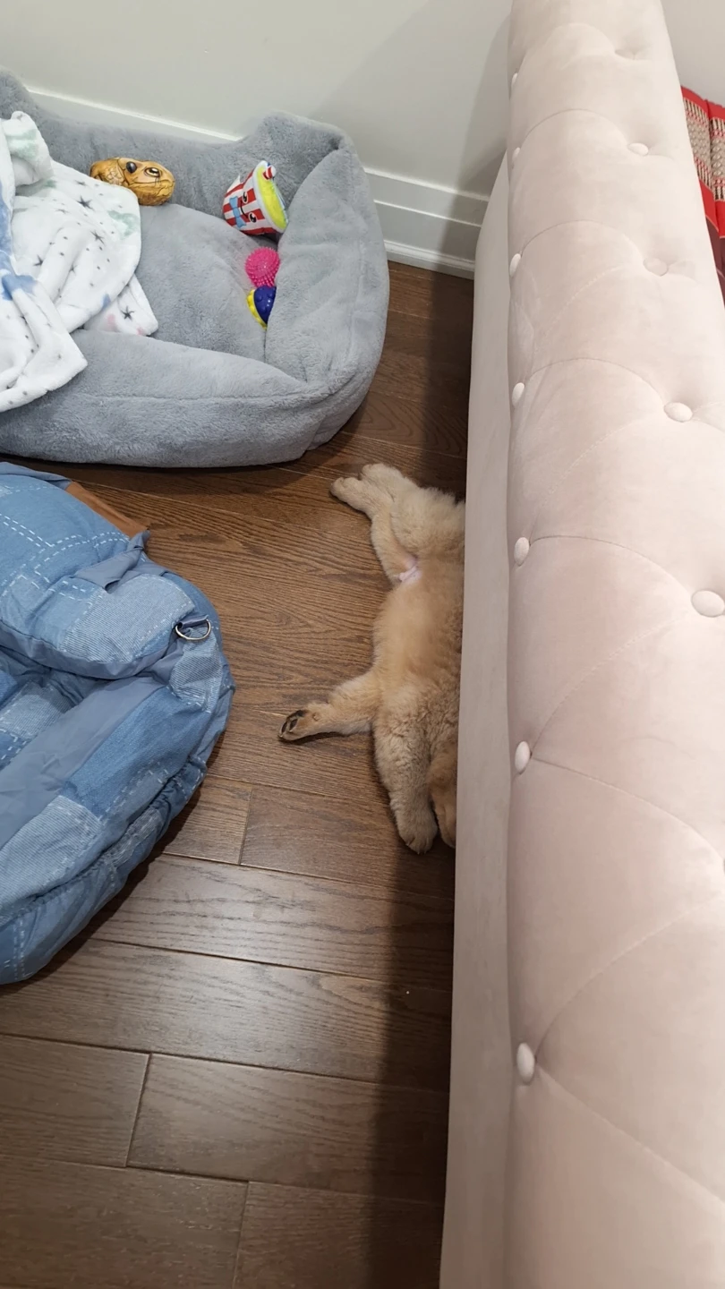 Structube - Moss -  Rose - Double - photo 3