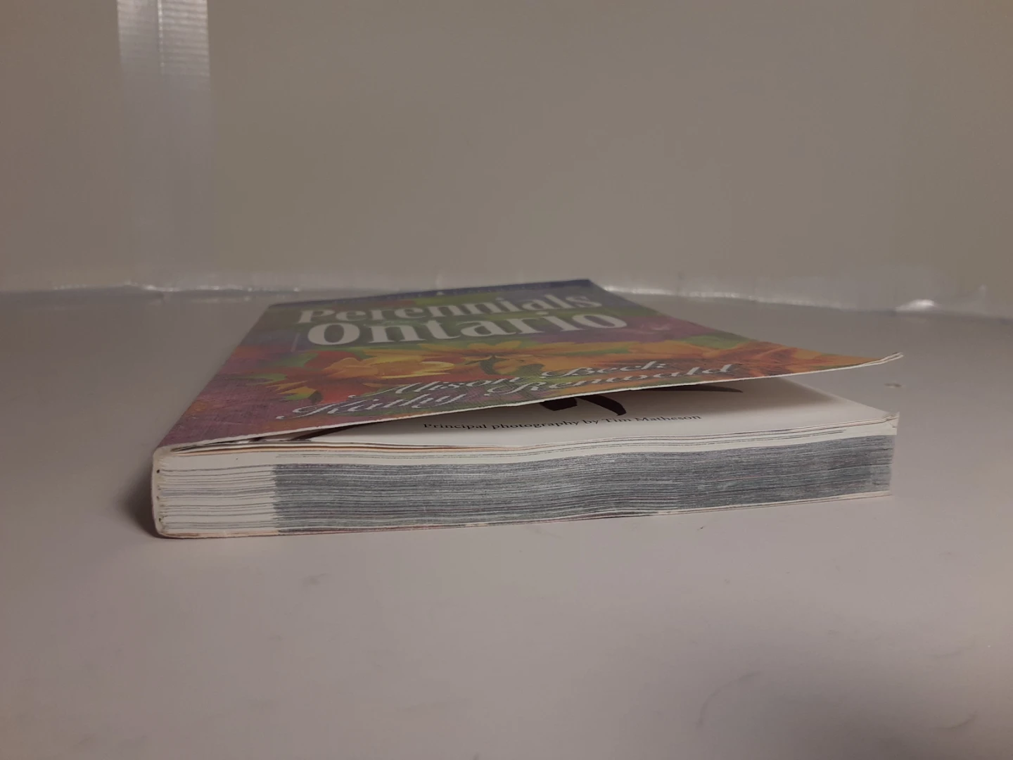 Perennials for Ontario - photo 3