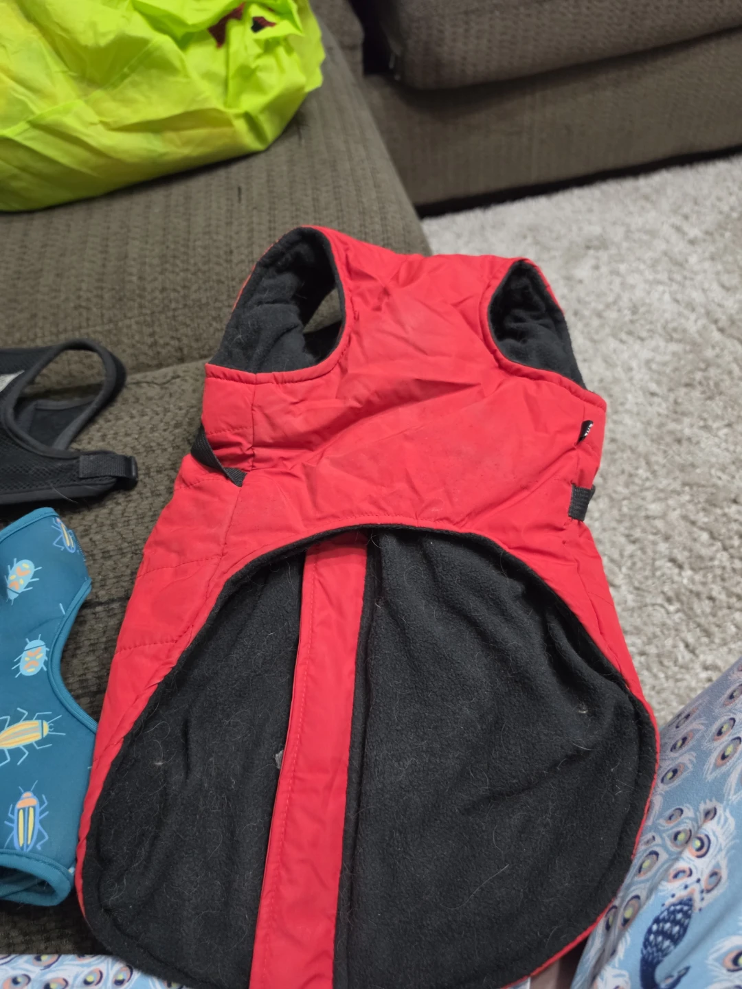Blue and Red Puffer Dog Coat - photo 4
