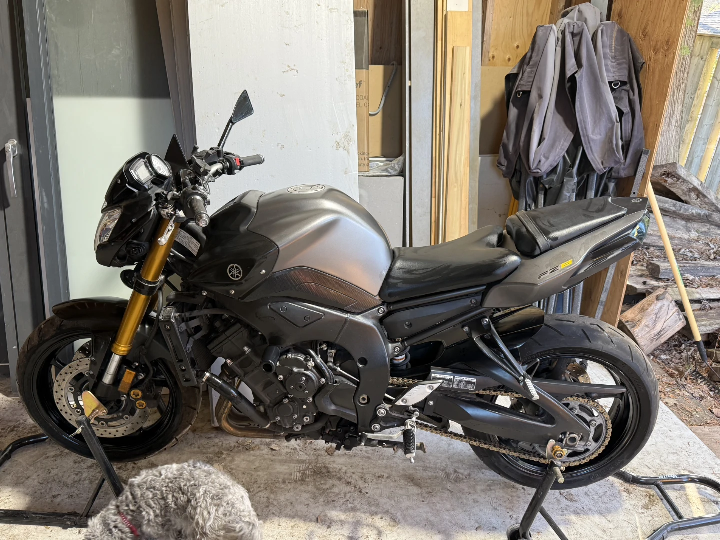 Yamaha FZ8 Motorcycle - photo 3