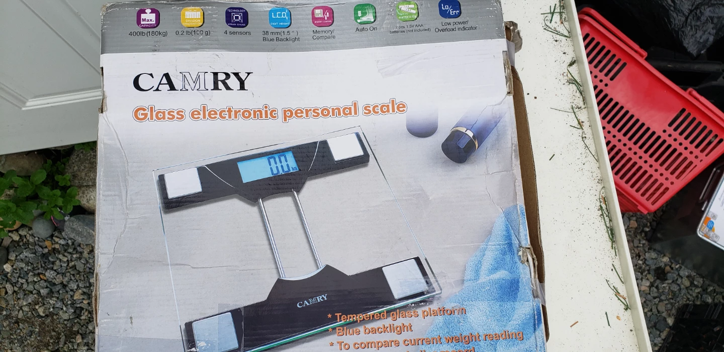 Camry Glass Electronic Personal Scale