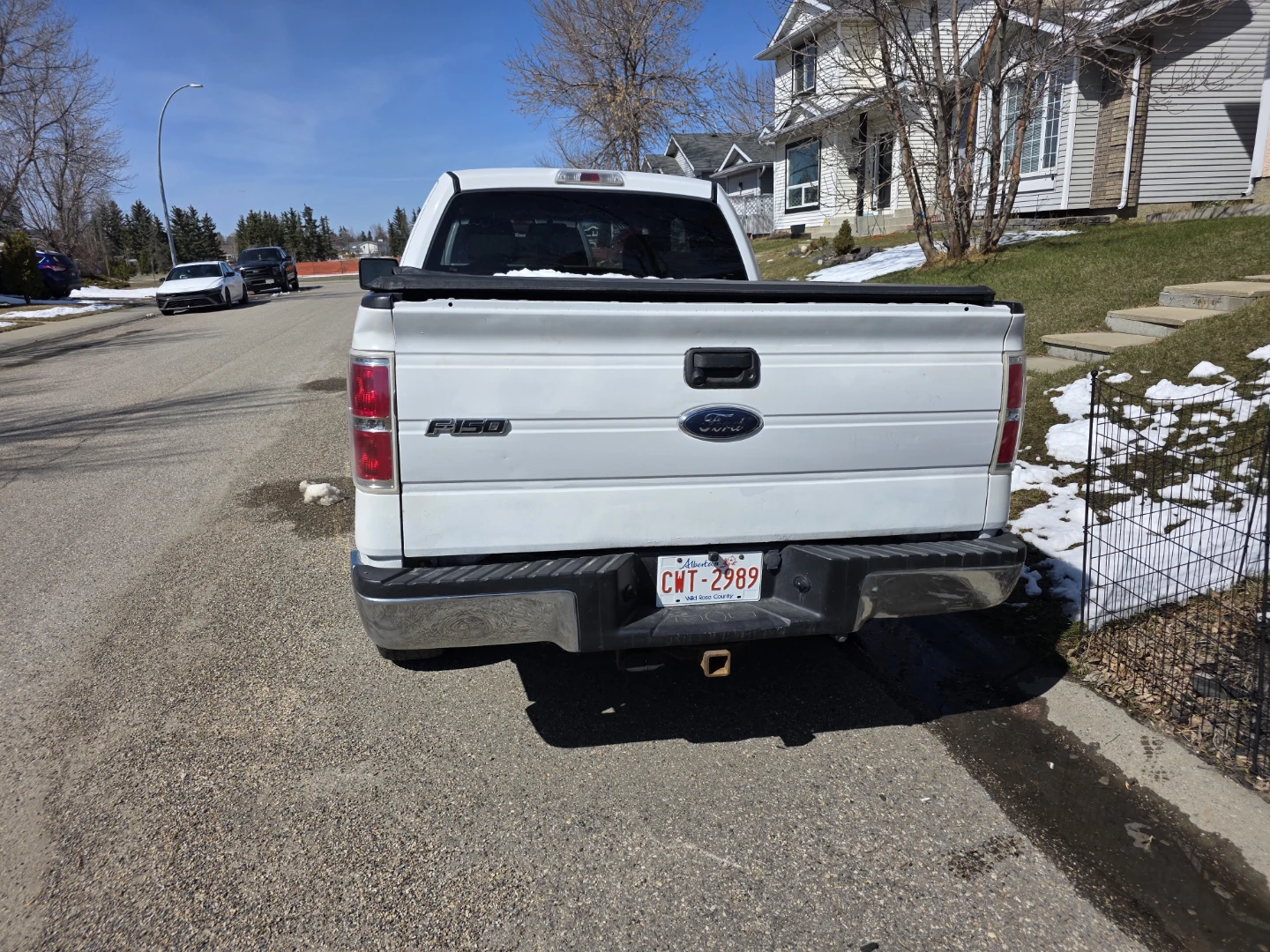 White Ford F-150 - photo 2