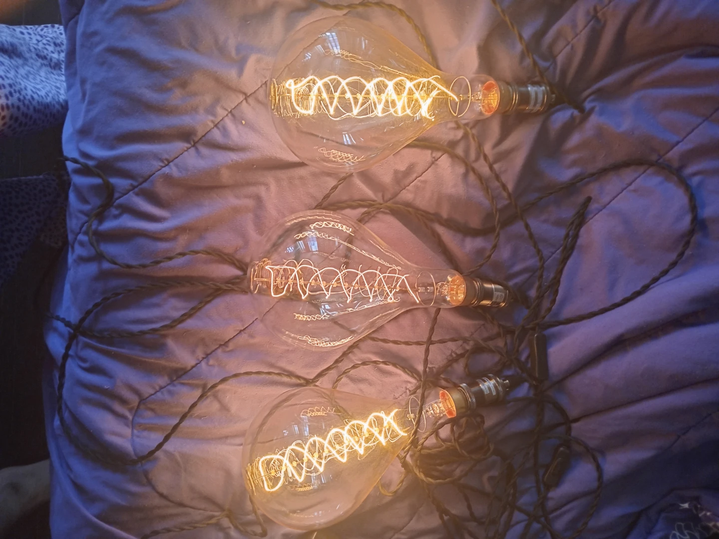 Vintage Edison Bulb String Lights - photo 3