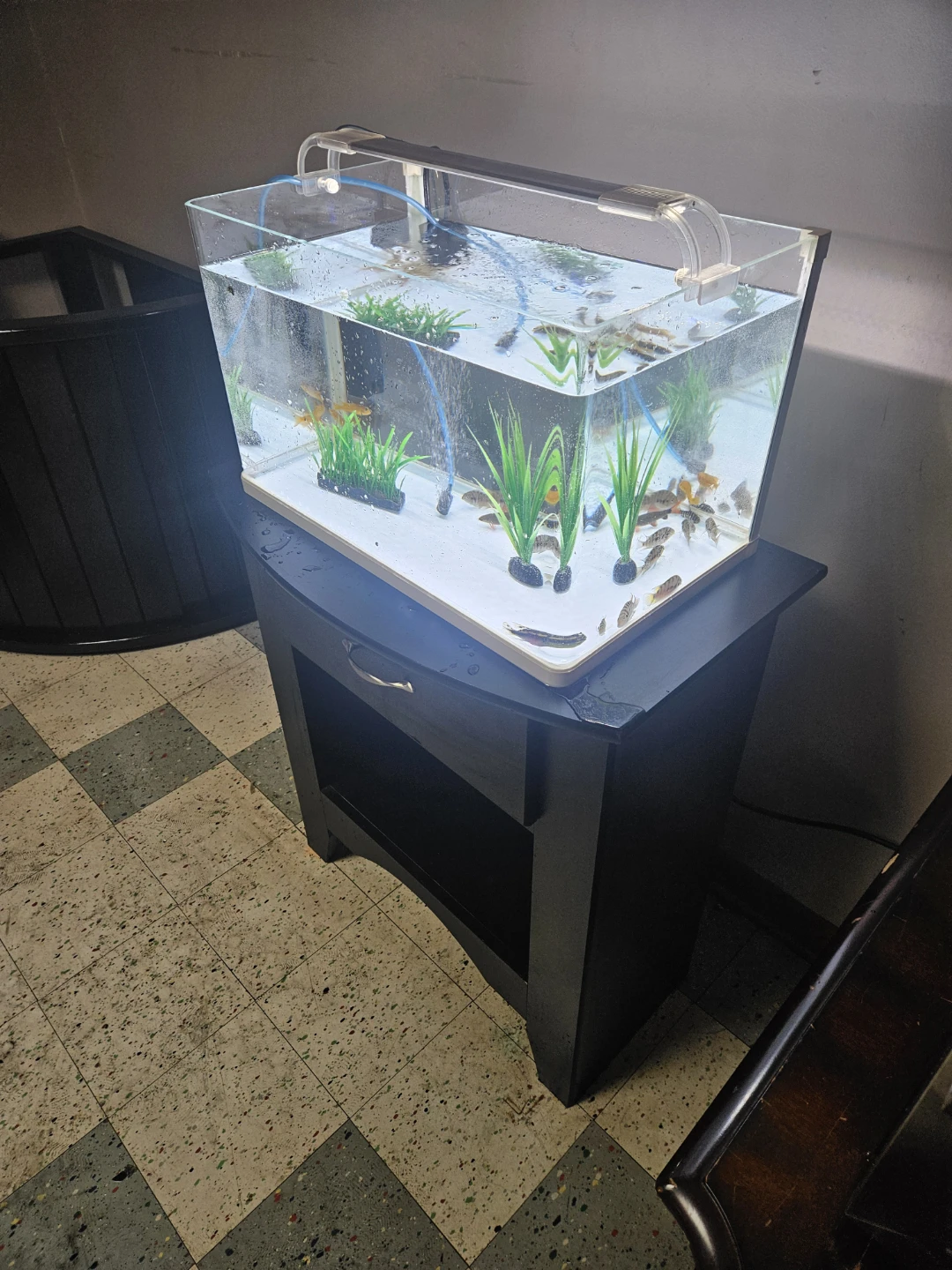 Clear Glass Aquarium with Filter and Light