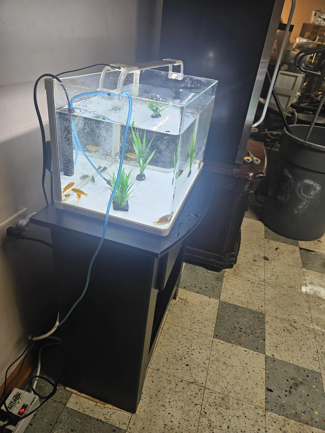 Clear Glass Aquarium with Filter and Light - photo 3