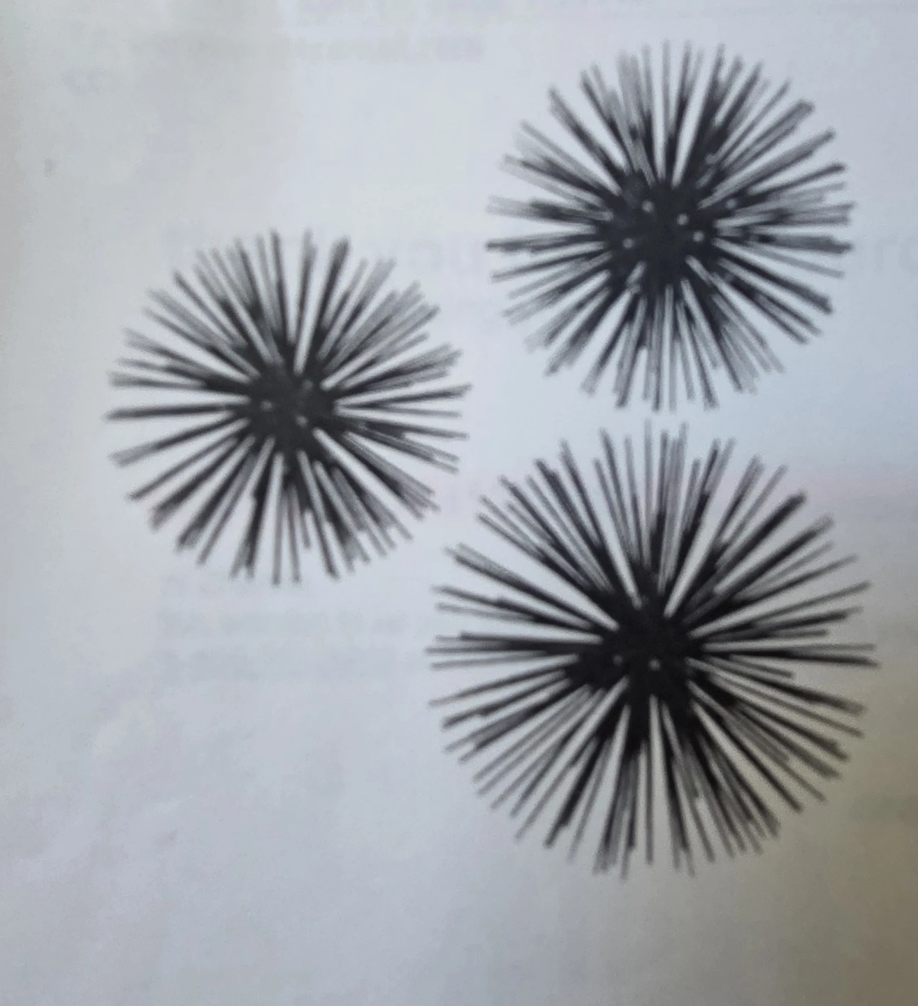 Sea Urchin Ornamental Wall Decorations - Metal, 2 Set of 3 - photo 3