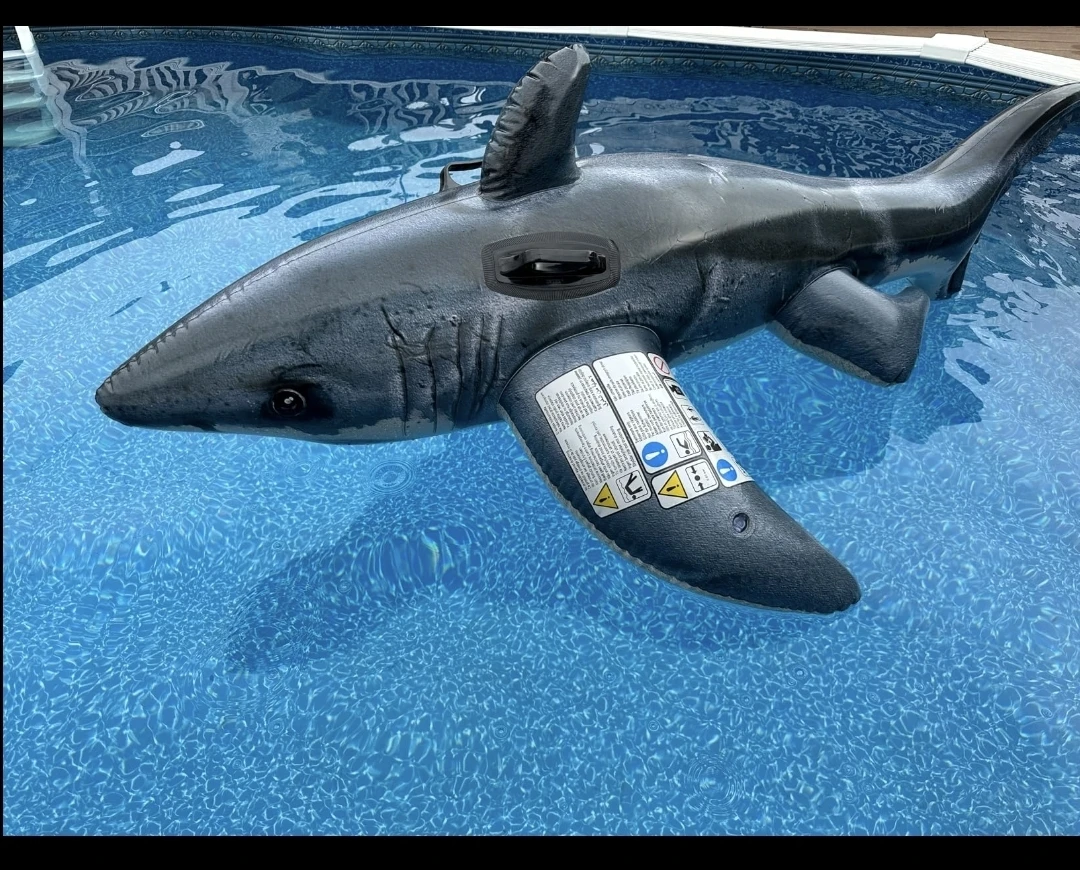 Intex Great White Shark Ride-On Pool Float🌱 - photo 2