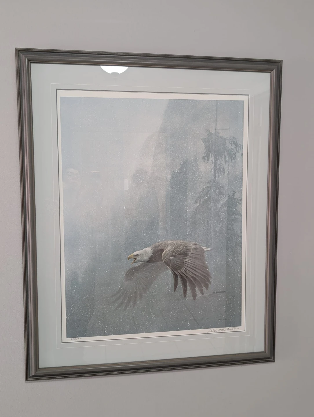 Framed Robert Bateman Eagle Art Print 1983 - photo 2