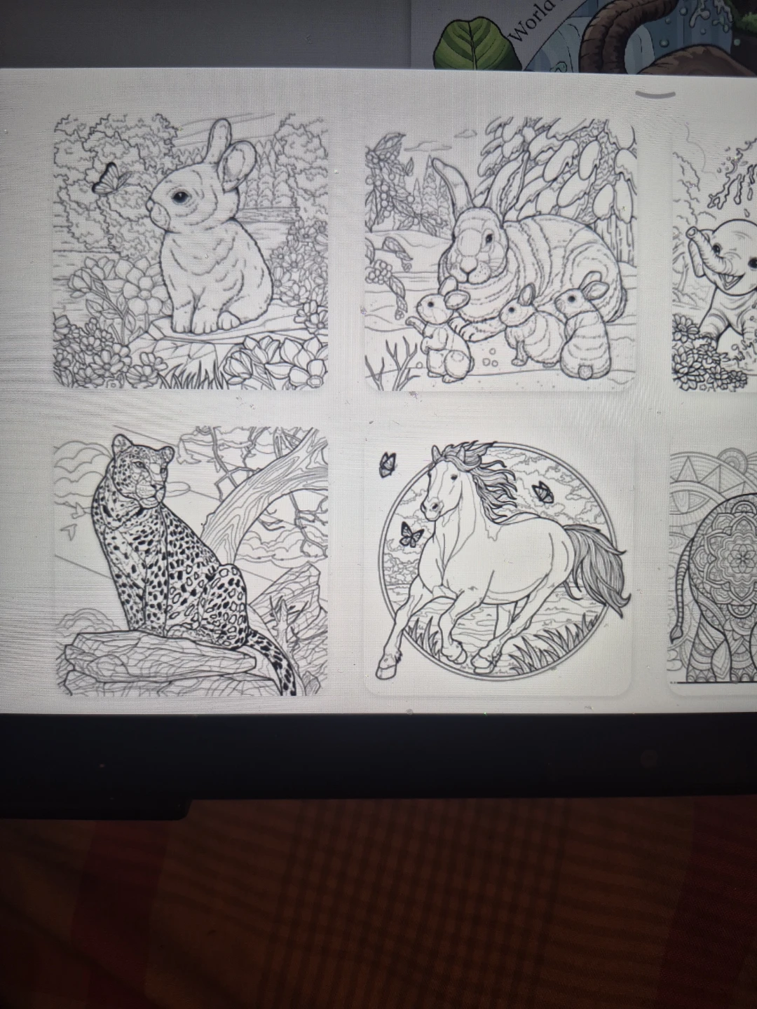 Adult Coloring Pages - Animals - photo 3