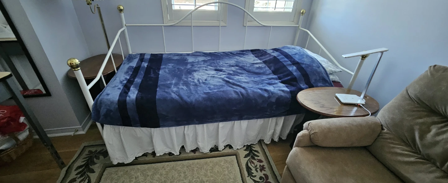 White Metal Daybed Frame - photo 2