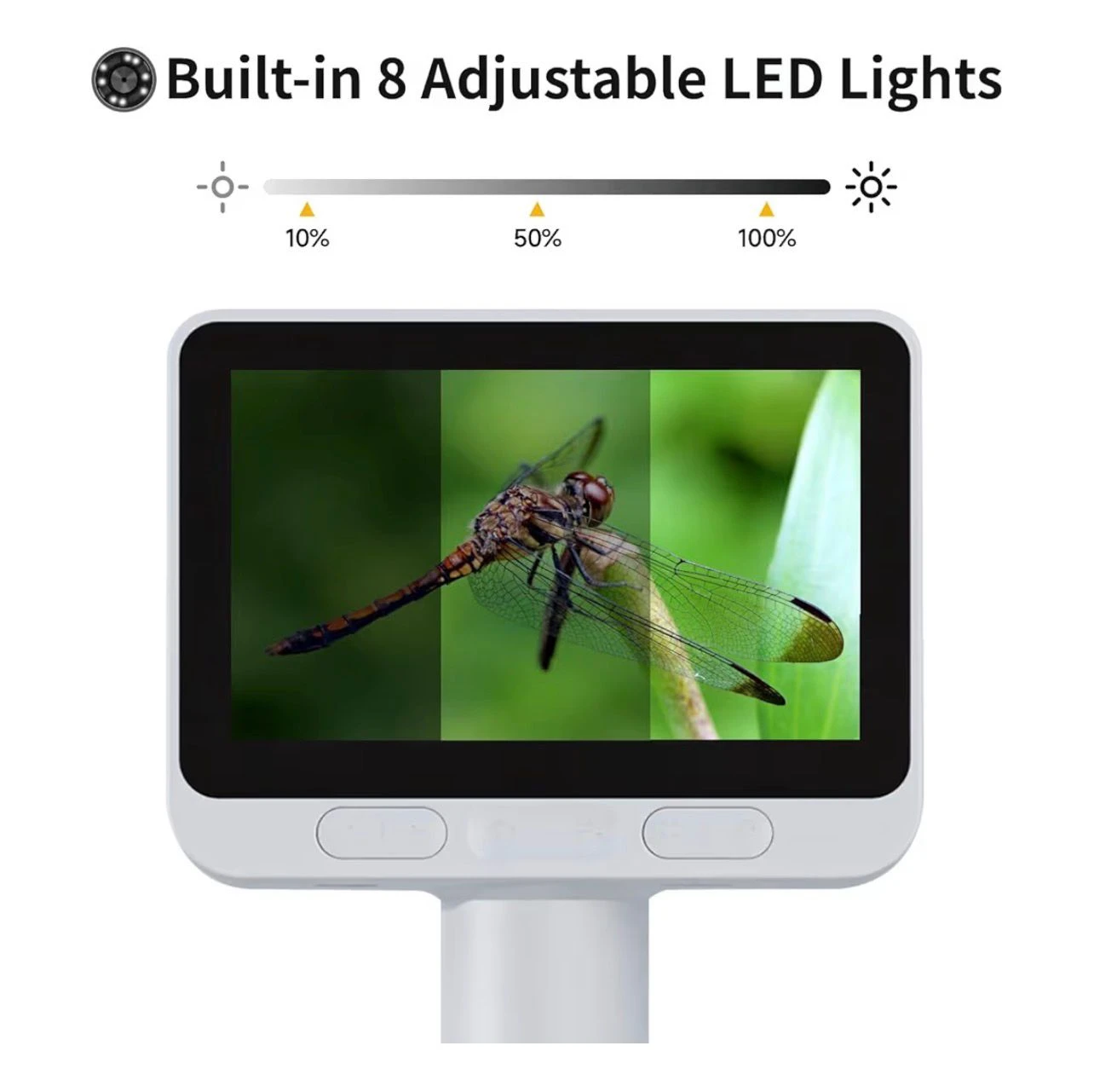 BEAVERLAB Digital Microscope with 4.0" IPS Screen - photo 4