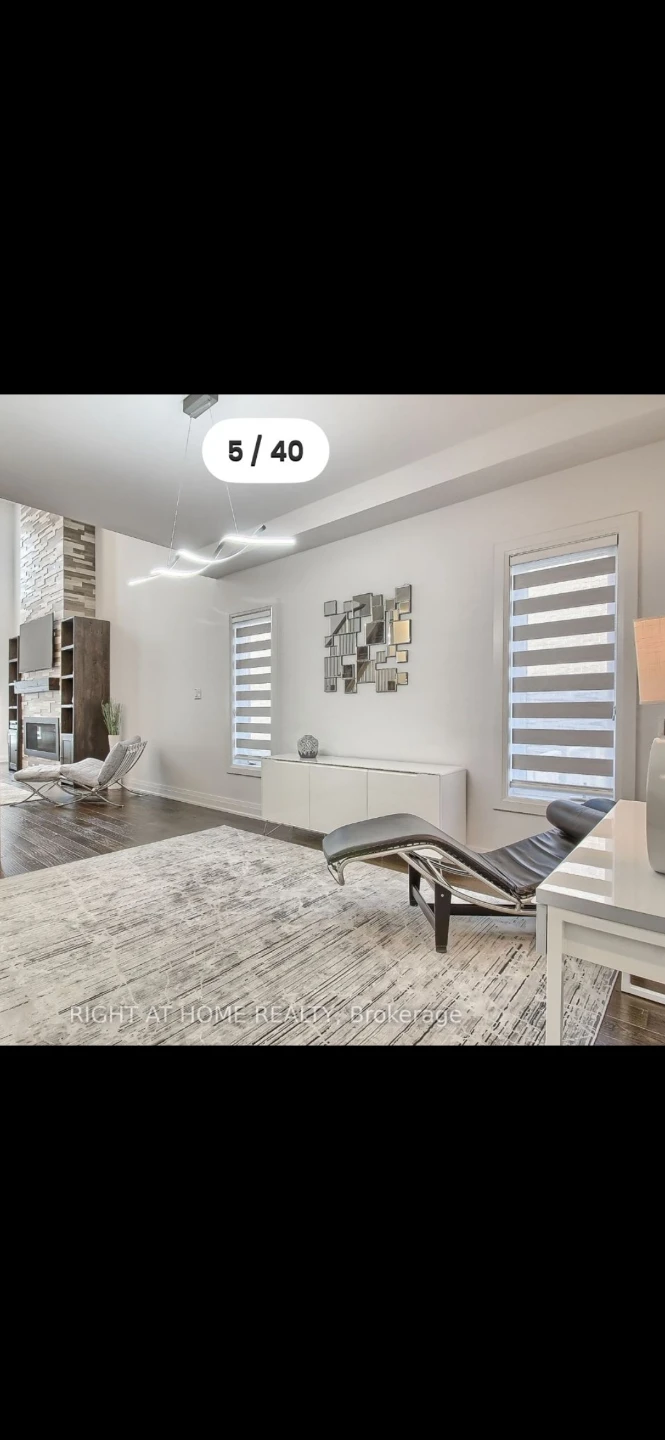 Area Rug