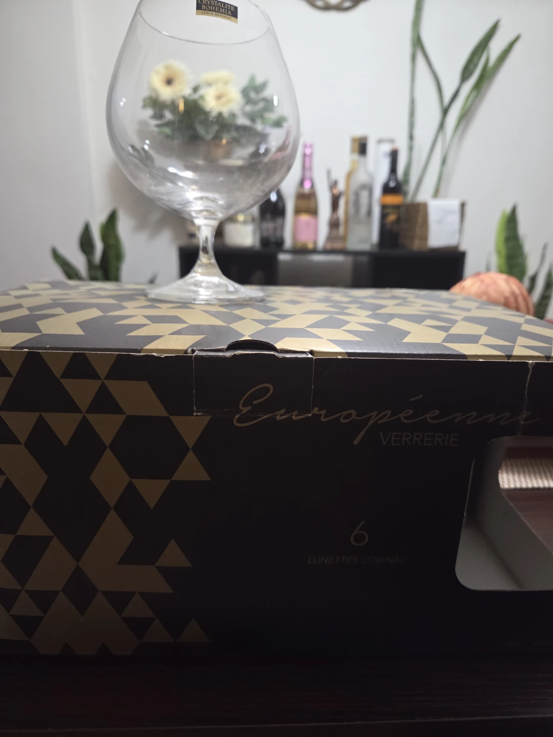 Cristal d'Arques "Amadeus" Brandy Glasses
