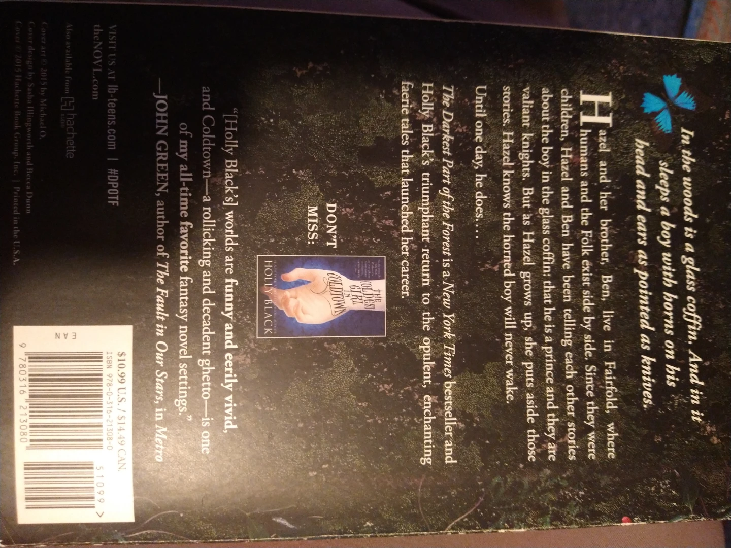 The Darkest Part of the Forest by Holly Black - photo 2