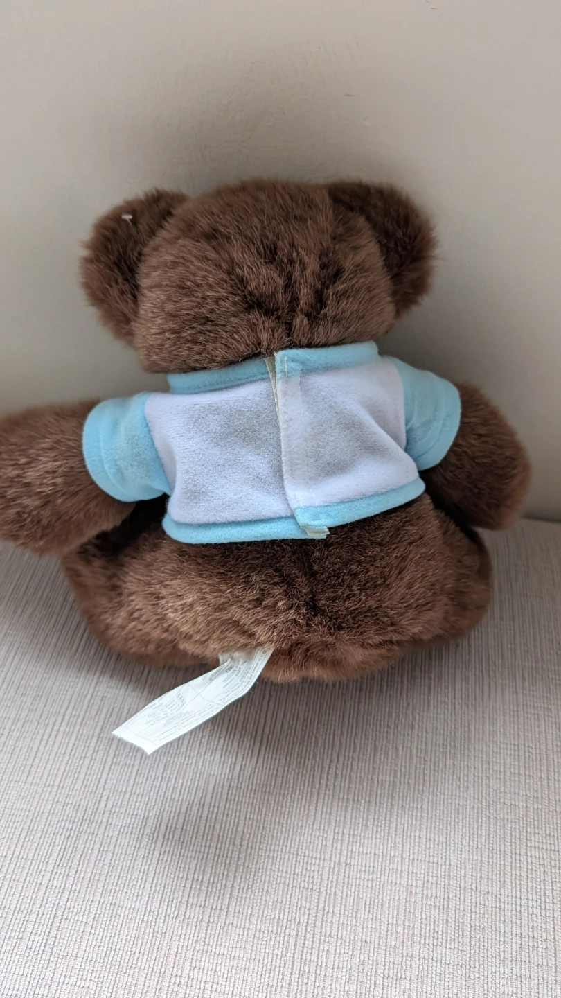 Brown Teddy Bear "I Love Guides" T-Shirt  - Girl Guide Bear - photo 2