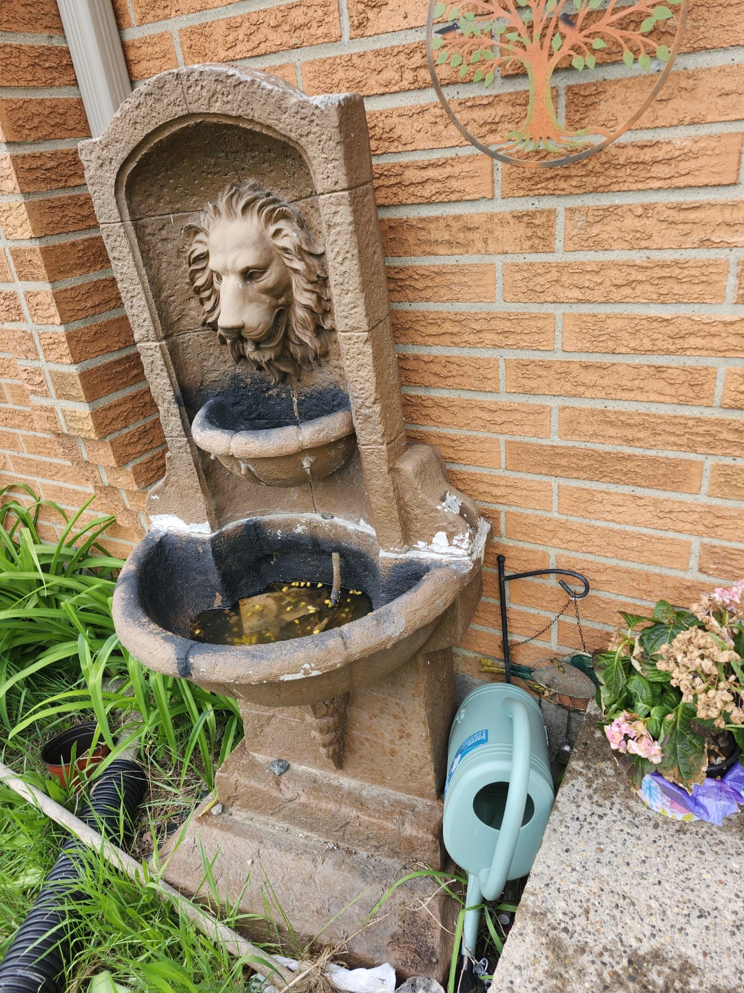 Lion Head Fountain