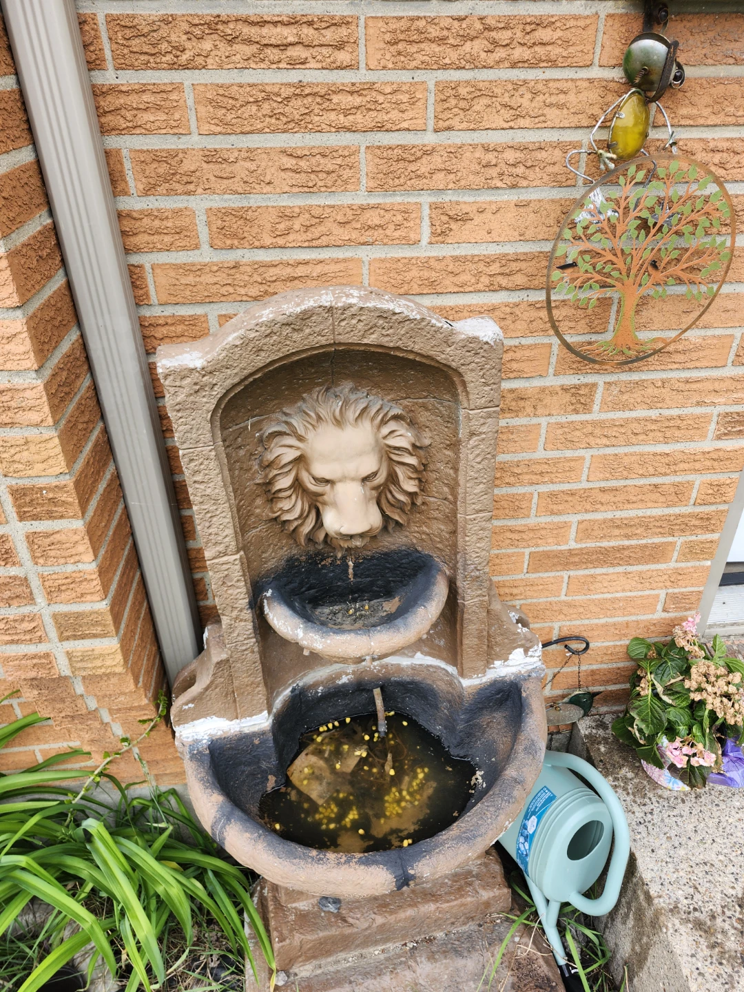 Lion Head Fountain - photo 3