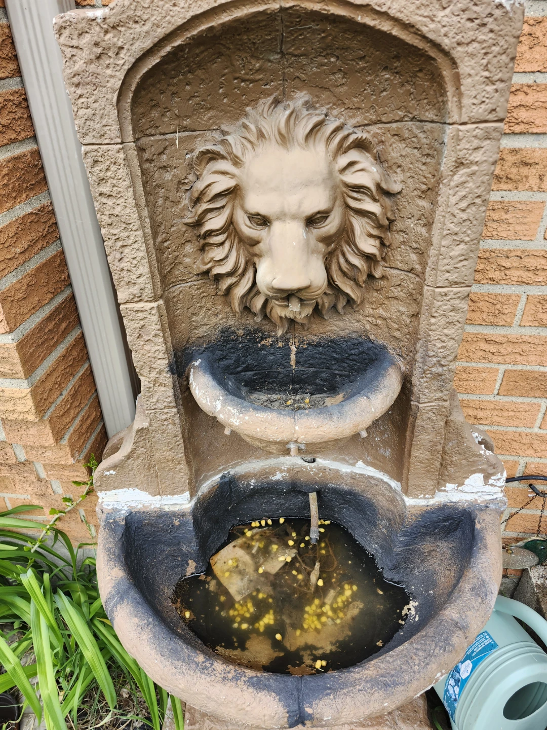 Lion Head Fountain - photo 5