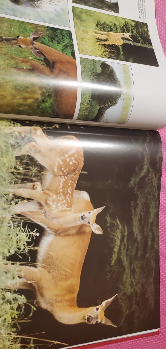 Canada's National Parks Book - photo 2