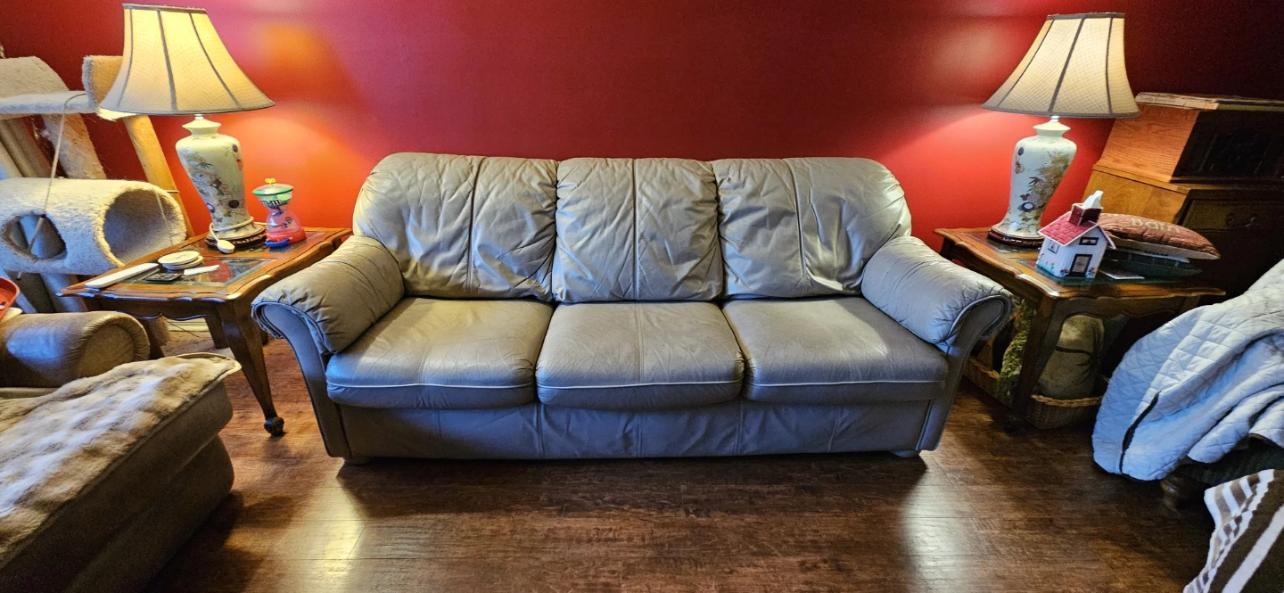 $60 last chance! Genuine Leather Sofa - Beige