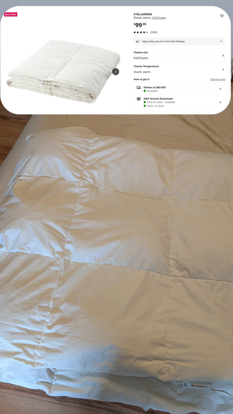 Queen/Full Down Duvet Insert