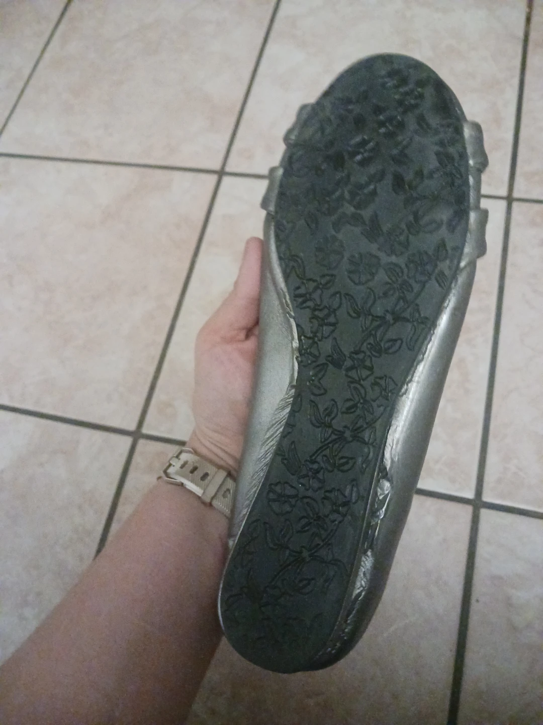 Silver Flats - photo 3