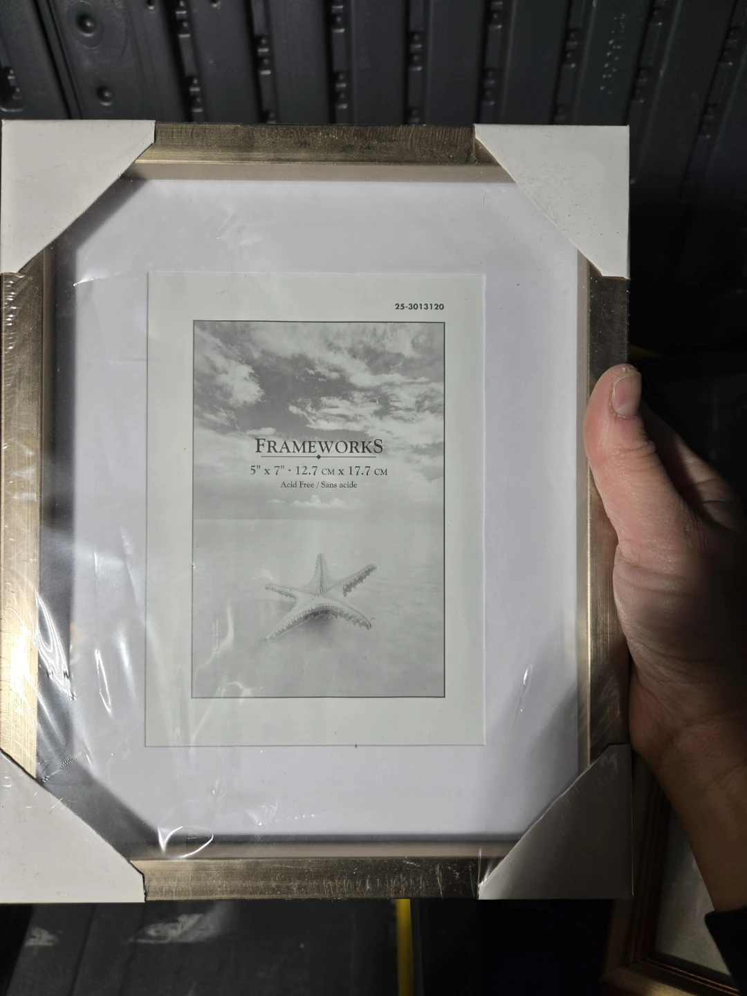 Frameworks Picture Frames lot - photo 4
