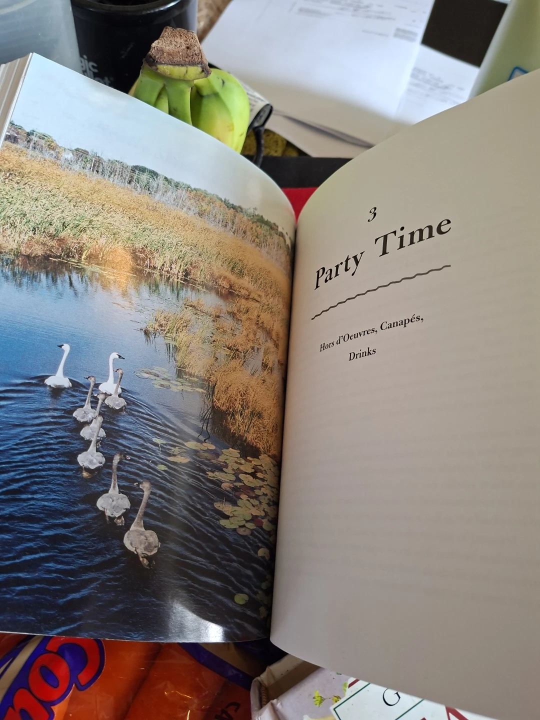 Georgian Bay Gourmet Entertains Cookbook - photo 4