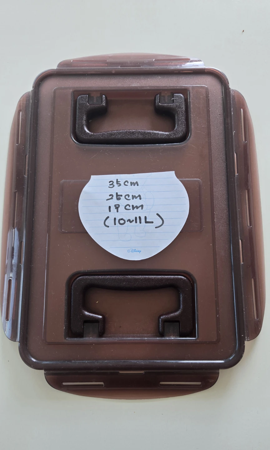 Large Food Storage Container 10-11L