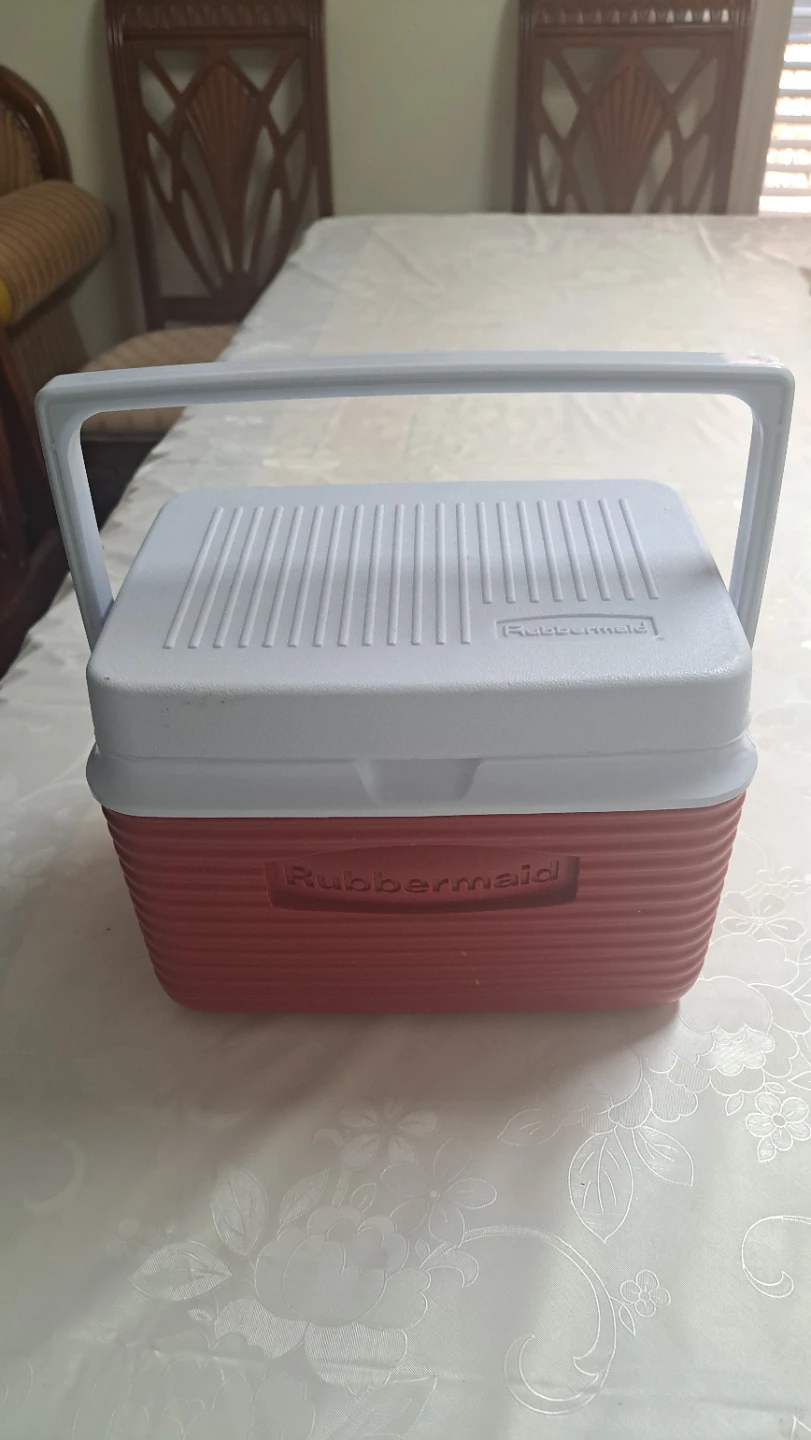Small Rubbermaid Cooler