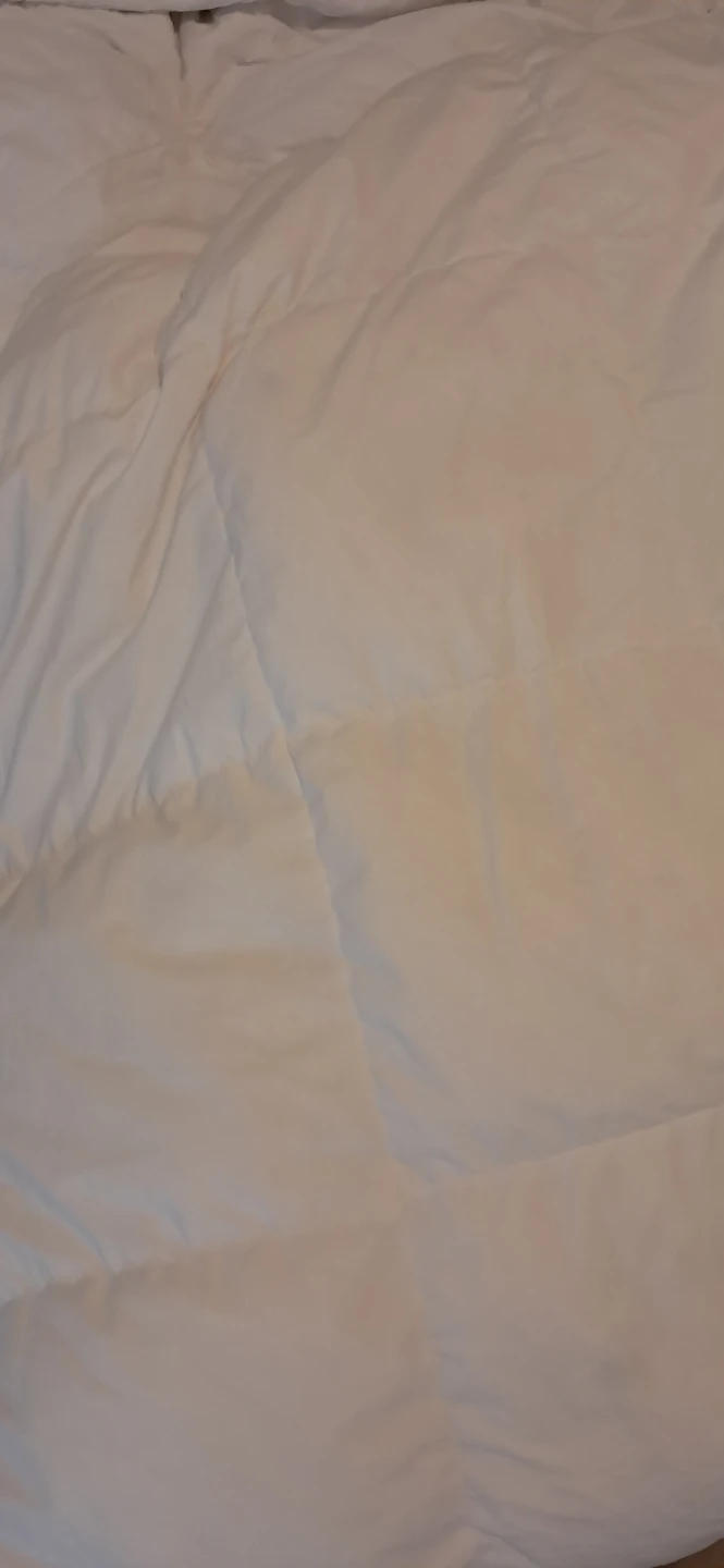 Down Duvet Comforter - photo 4