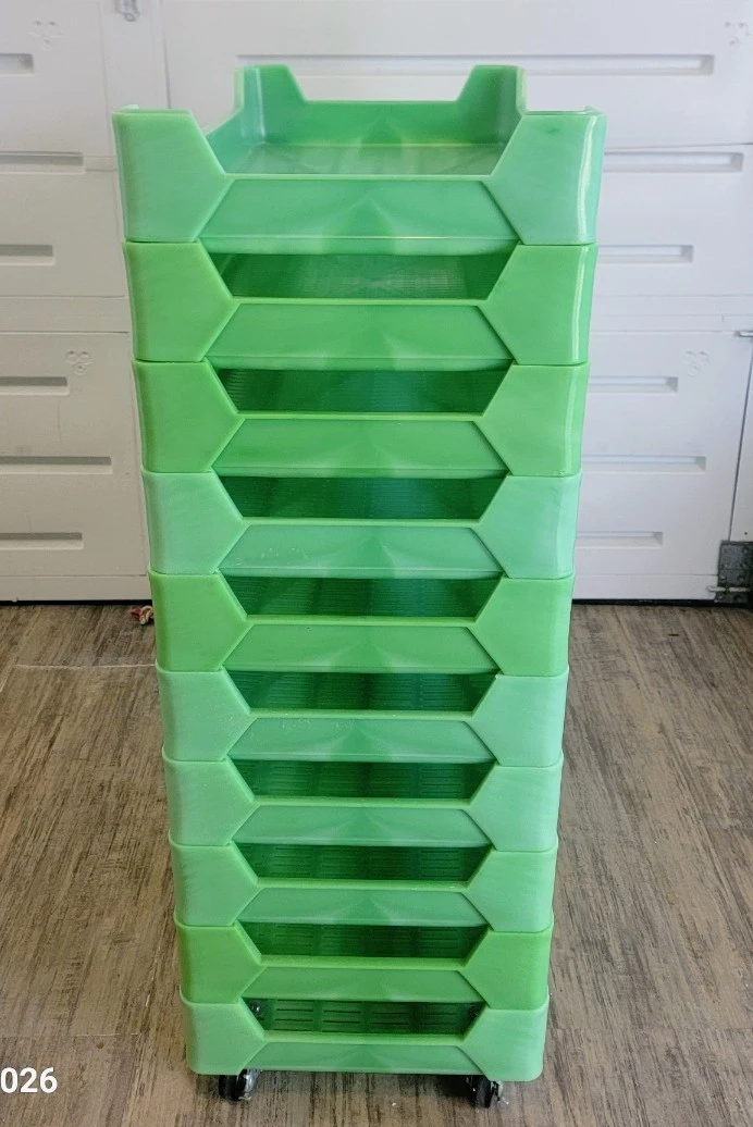 Moving  Sale  Sopa Rack  - Multi-Tier  Green
