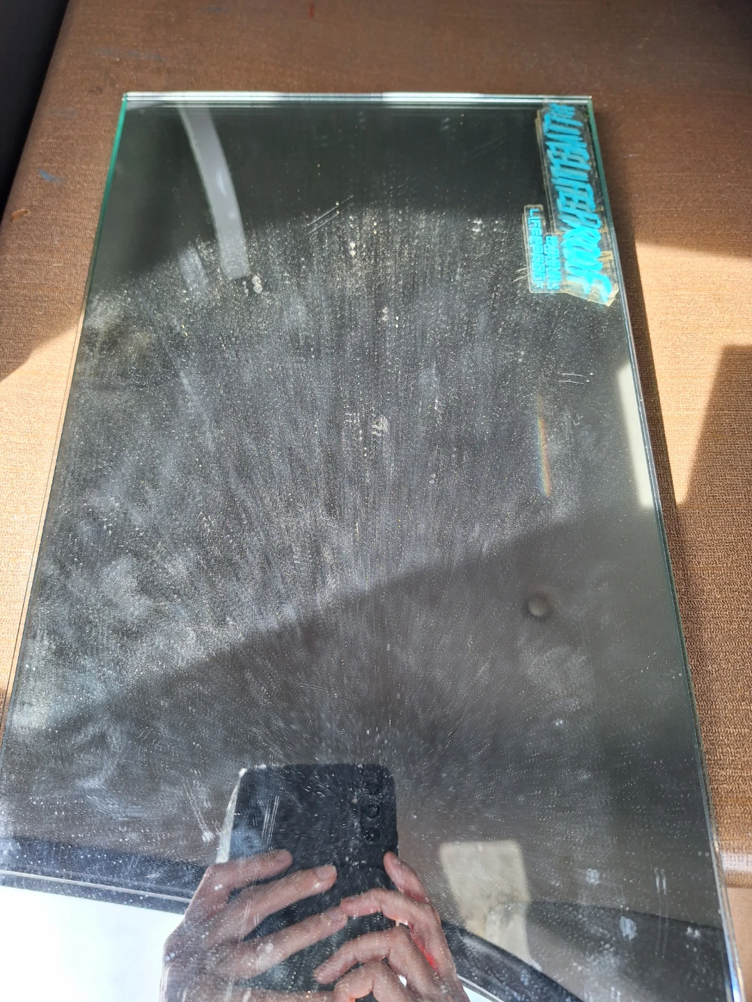 Mirror (Kit Cat Club rescue) - photo 2