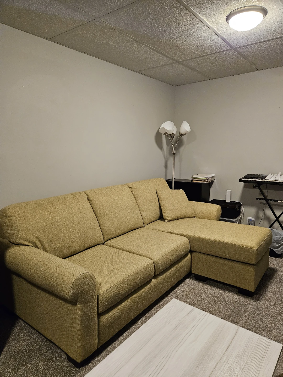 Trinidad Lime Sectional