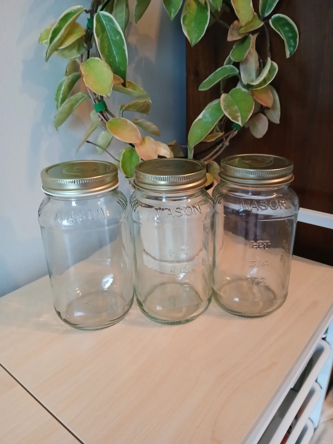 Mason Jars (Set of 3) - 750ml