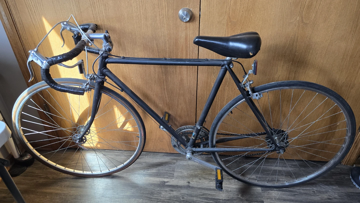 Raleigh Road Bike