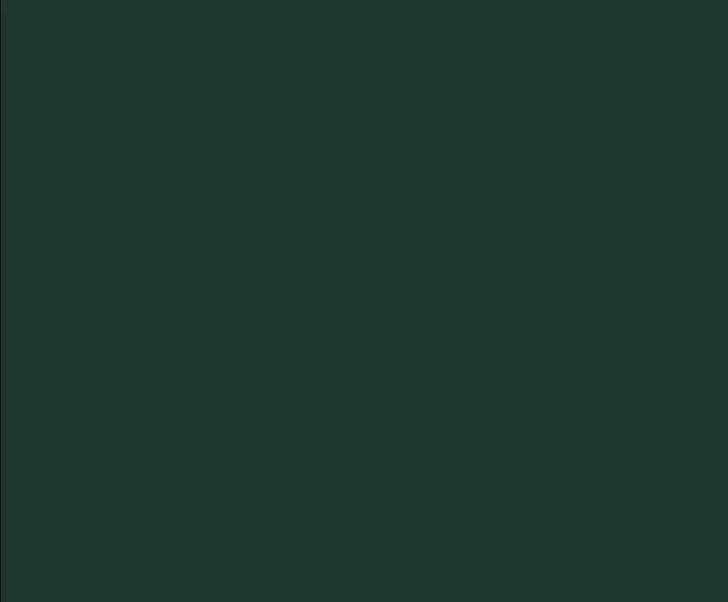Mandala scrubs joggers (midnight green) - photo 3