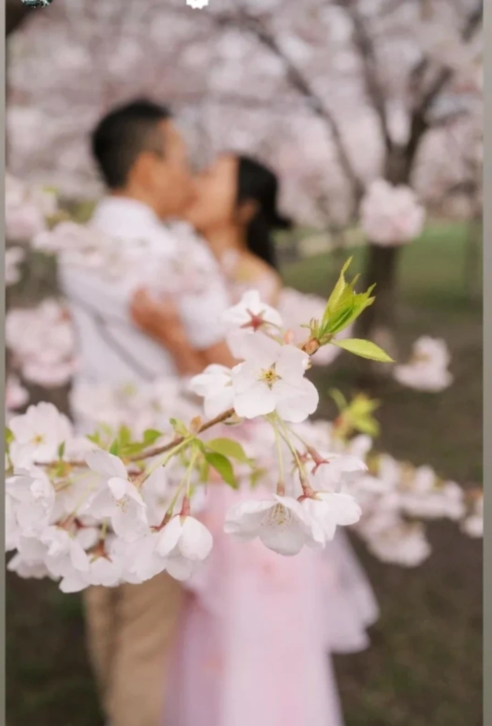 Pink Strapless Tulle Gown with Floral Appliques - photo 5