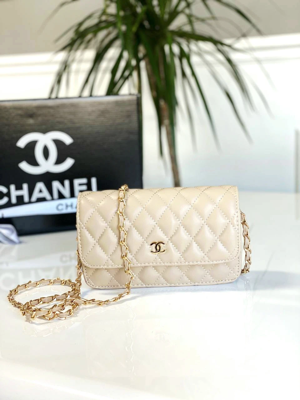 New purse