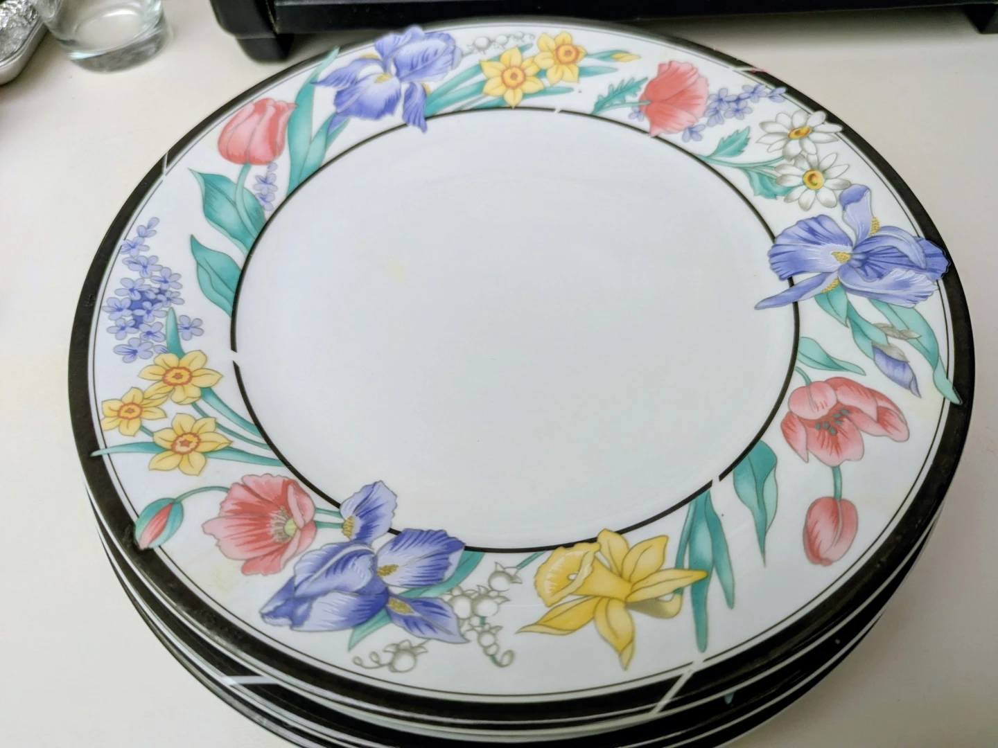 New Large Fine China Plates (4) - photo 2
