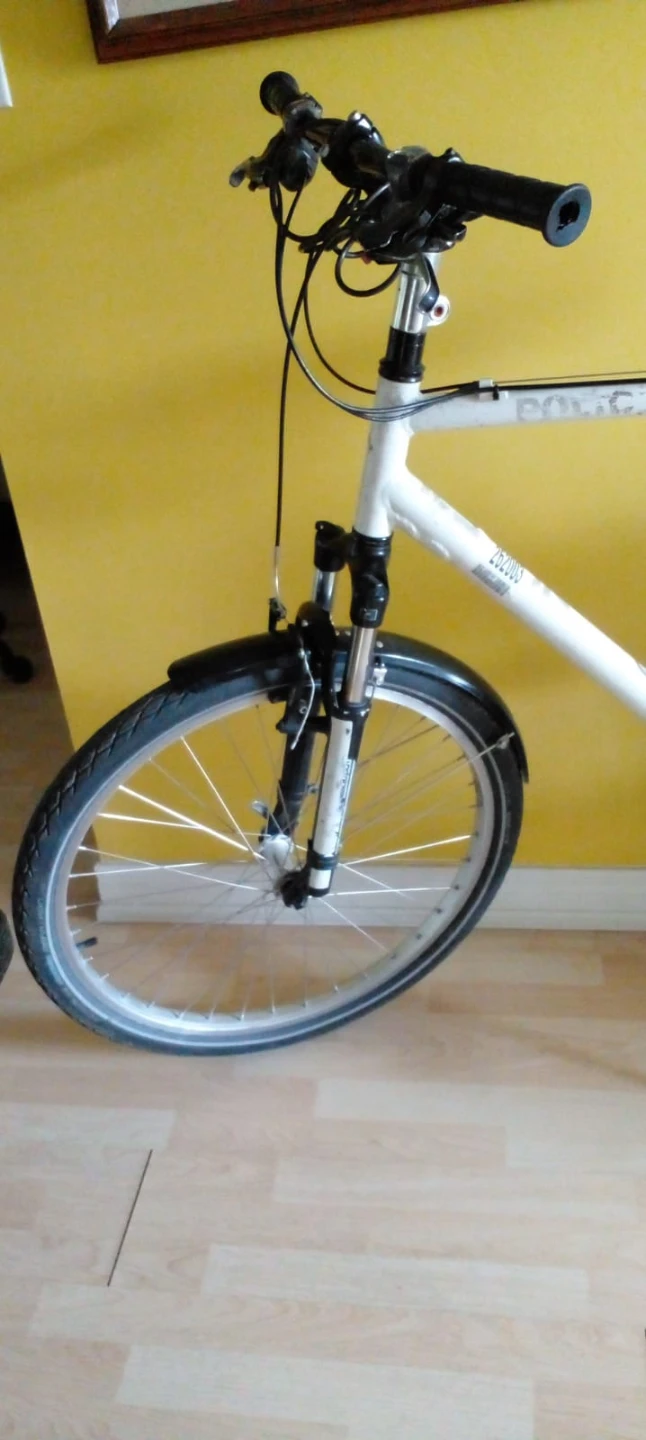 White Rogue Bicycle with Rack