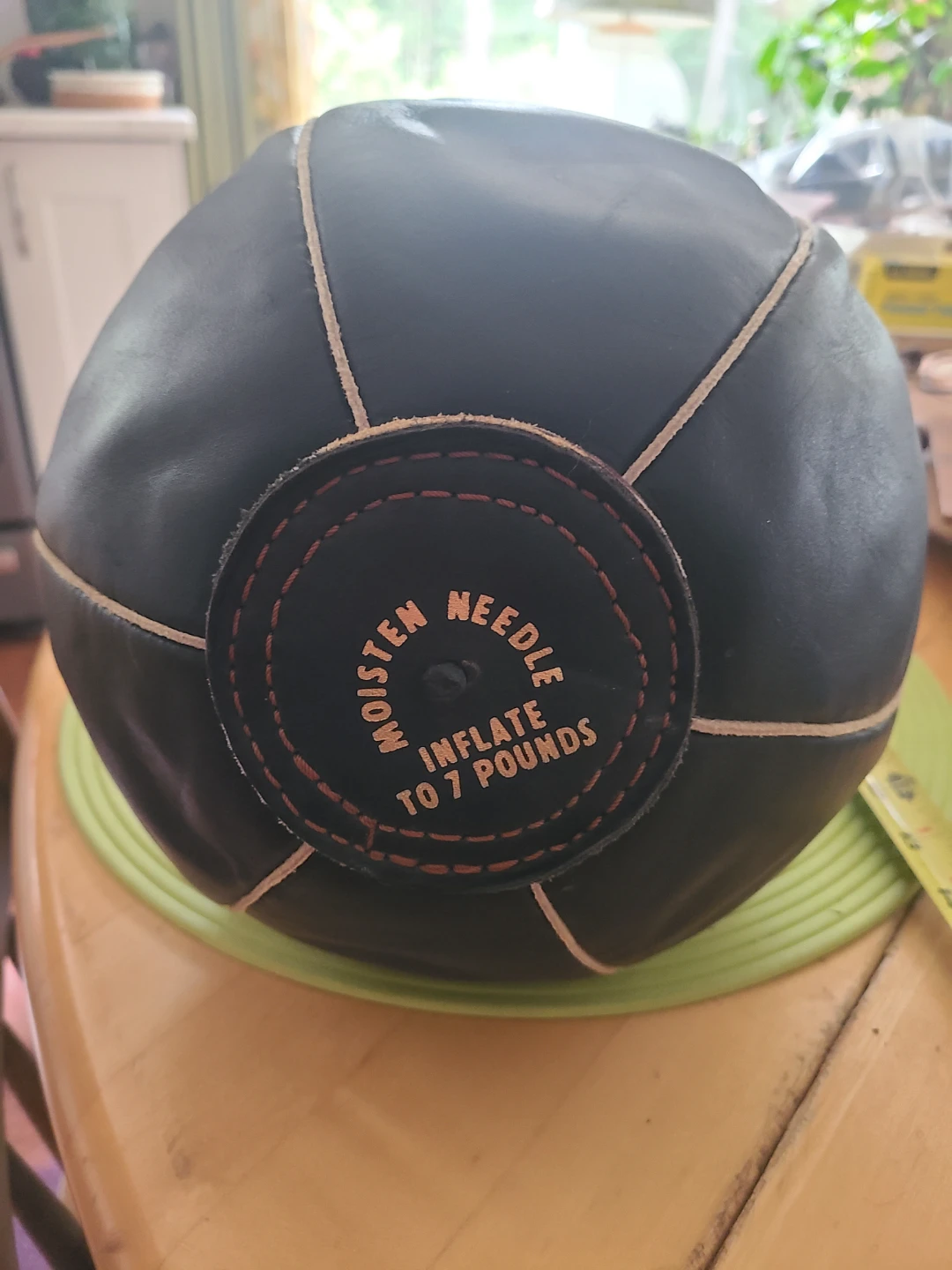 Pro Sport Institutional Heavyweight Speed Bag