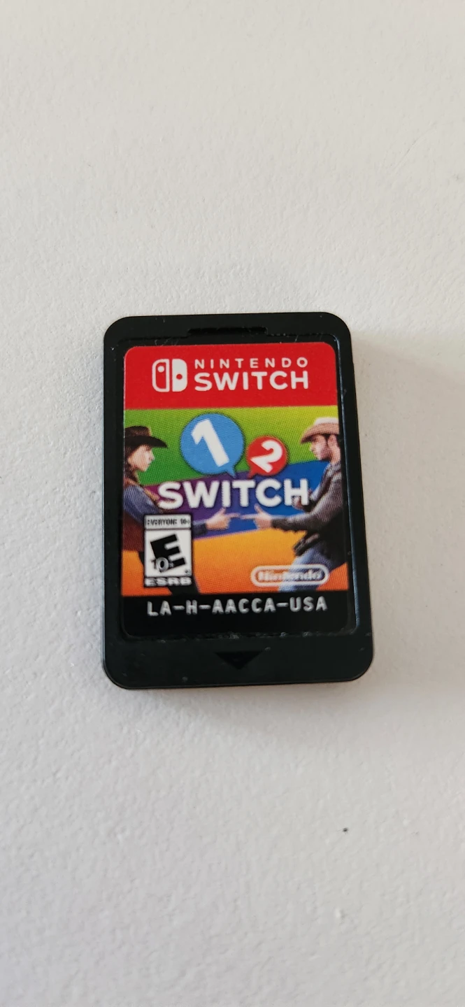 Nintendo Switch 1-2-Switch Game