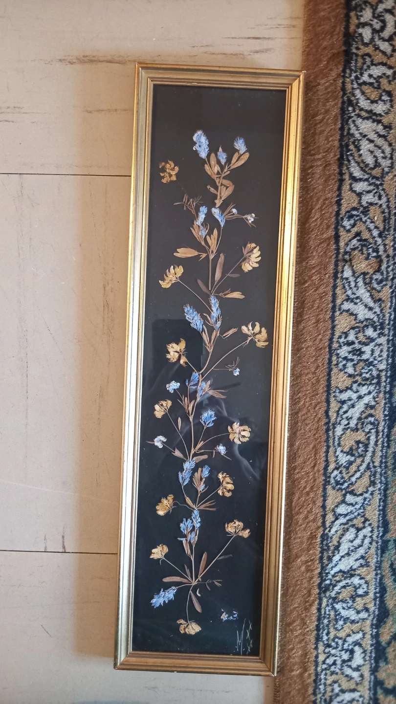 French botanical pressed flower  collection