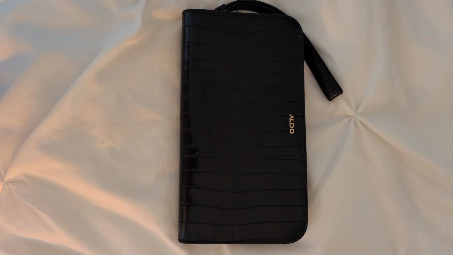 Aldo Clutch Bag / Pocket book