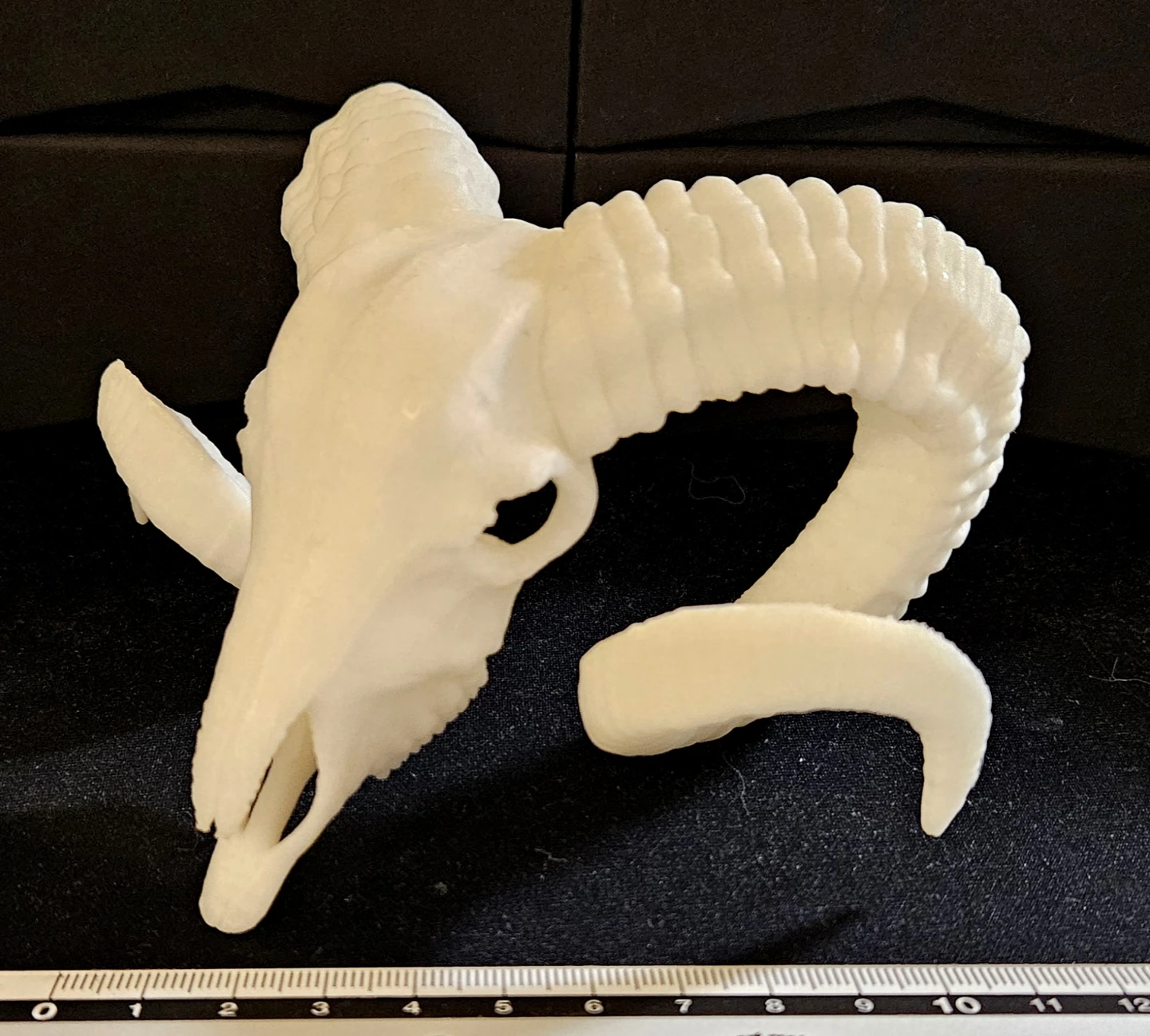 3x 3D Printed Dragon Skull + Ram Skull + Seahorse - photo 3